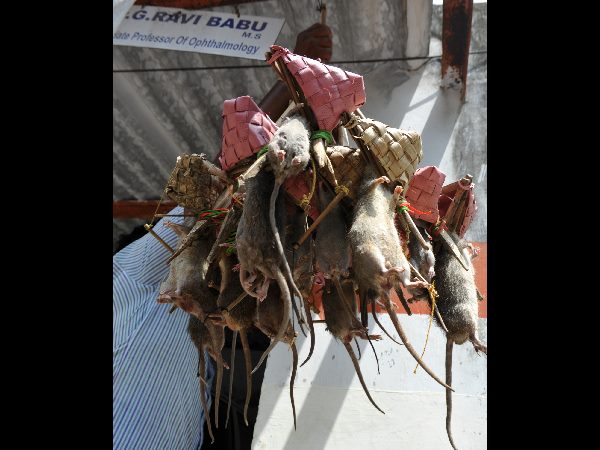 మొత్తం పది మందితో..