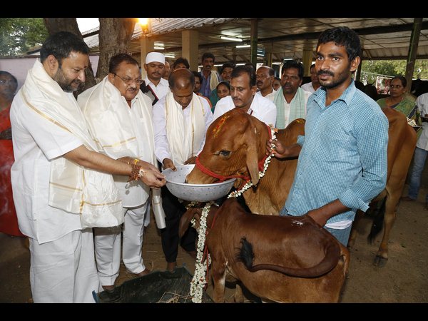గోశాలకు దూడలను విరాళమిచ్చిన వెంకయ్య తనయుడు
