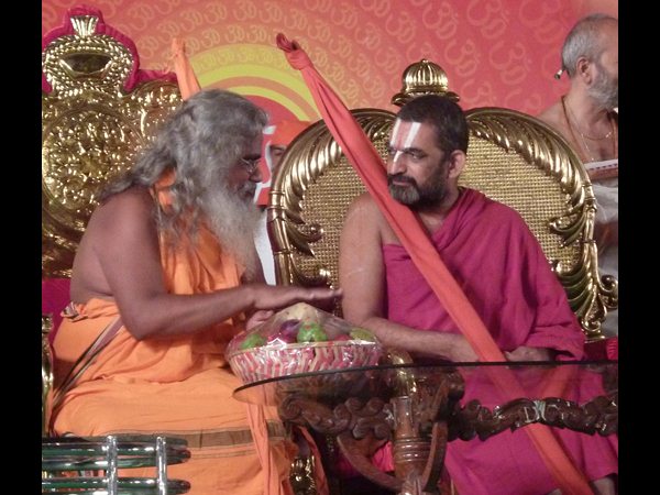 హిందూ చైతన్య సభ