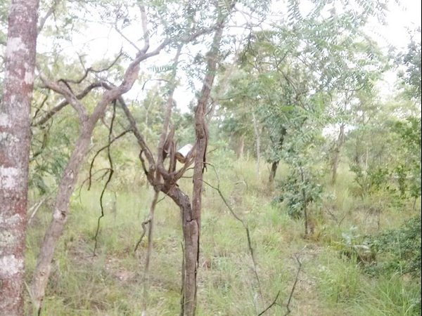 వారిద్దరూ ఇలా.. 