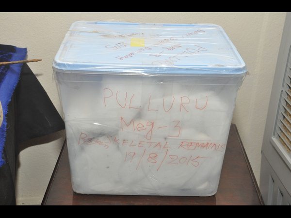  పురాతన సంపద