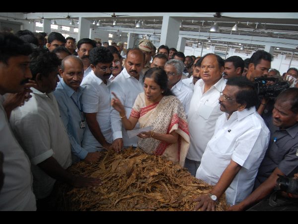 పొగాకును పరిశీలించిన నిర్మలా సీతారామన్ పొగాకును పరిశీలించిన నిర్మలా సీతారామన్
