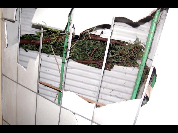 ఫీవర్ ఆస్పత్రి