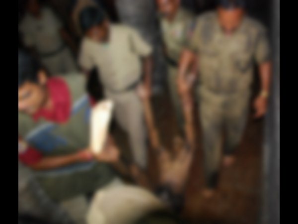 కపిల తీర్థం జలపాతంలో విషాదం: ఏడు మృతదేహాల వెలికితీత కపిల తీర్థం జలపాతంలో విషాదం: ఏడు మృతదేహాల వెలికితీత