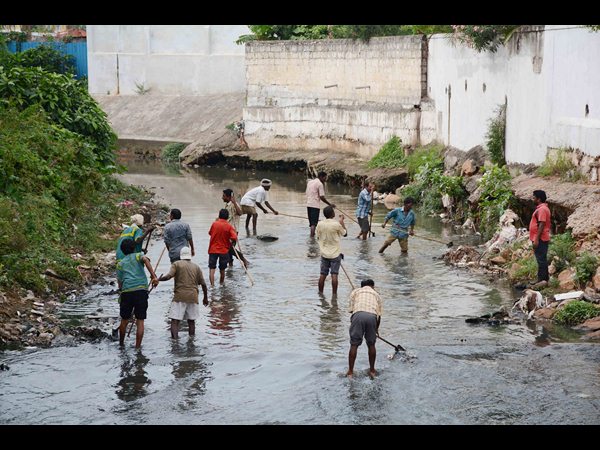ఇతను చూశాడట...