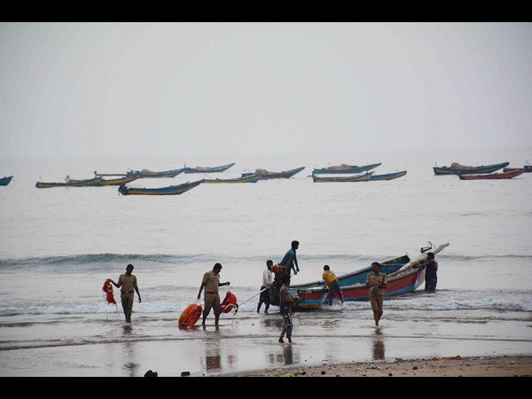 చనిపోయి ఉంటే..