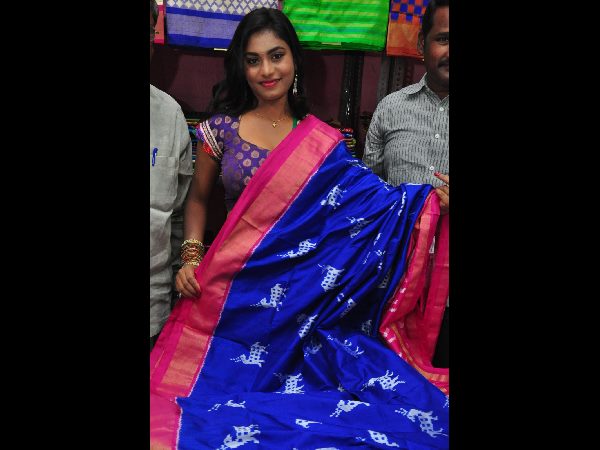 పోచంపల్లి ఇకత్ ఆర్ట్ మేళా 2015