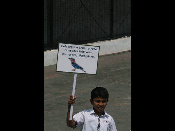 పాలపిట్ట