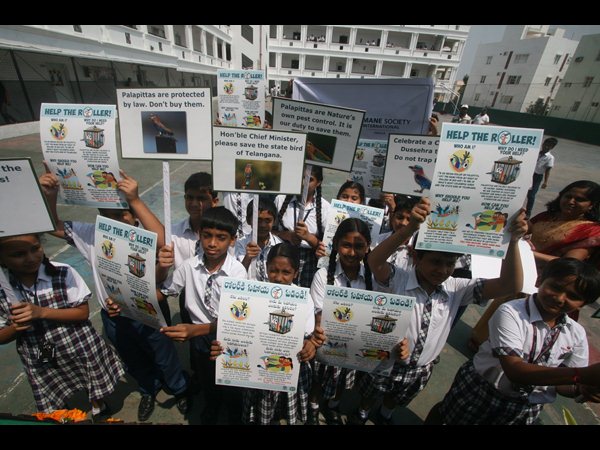 పాలపిట్ట