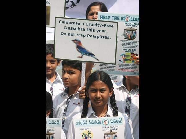 పాలపిట్ట