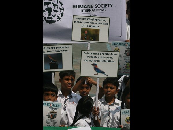 పాలపిట్ట