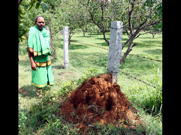 నాగాలమ్మ పుట్టుమన్ను
