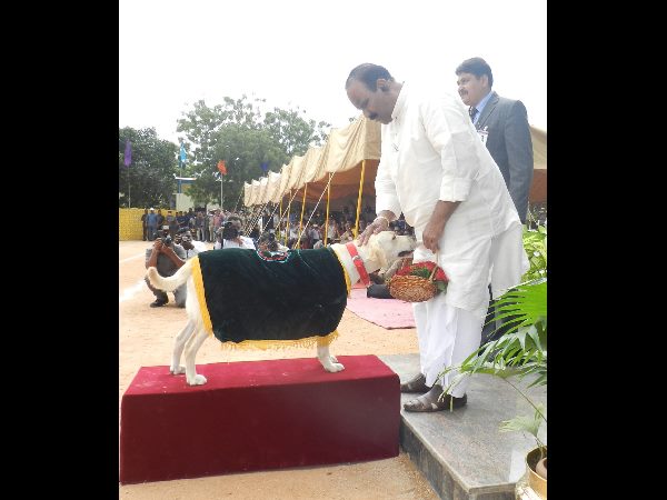 పాసింగ్ ఔట్ పరేడ్