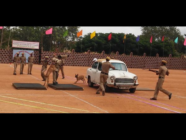 పాసింగ్ ఔట్ పరేడ్