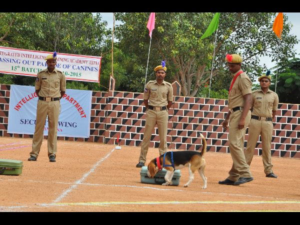 పాసింగ్ ఔట్ పరేడ్