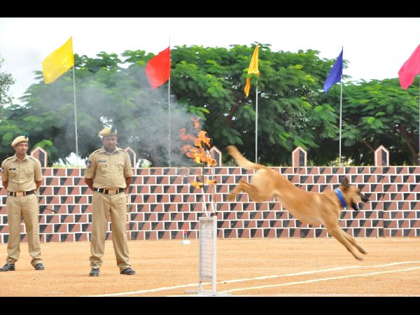 పాసింగ్ ఔట్ పరేడ్