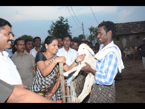 ఎంపి కవిత