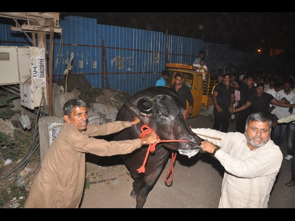 ఇంజక్షన్ ఖరీదు రూ. 400 ఇంజక్షన్ ఖరీదు రూ. 400