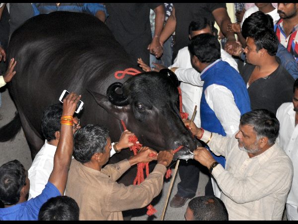 ప్రత్యేక ఆకర్ణణ అదే ప్రత్యేక ఆకర్ణణ అదే