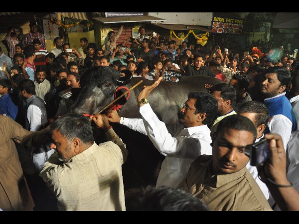 వారసత్వం ఇదీ.. వారసత్వం ఇదీ..