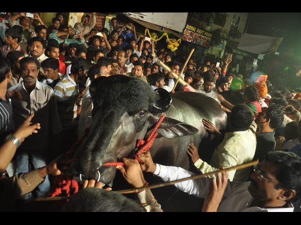 ఎగబడ్డారు... ఎగబడ్డారు...