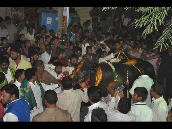 ఇదీ ఆహారం.. ఇదీ ఆహారం..