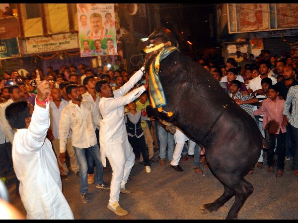 సదరోత్సాహం