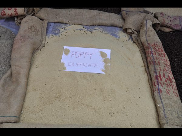 నకిలీ మసాలాల తయారీ ముఠా అరెస్ట్