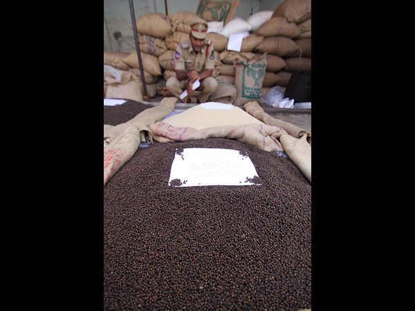 నకిలీ మసాలాల తయారీ ముఠా అరెస్ట్