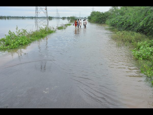 భారీ వర్షాలు