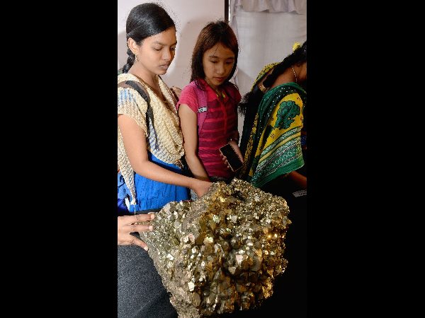 అరుదైన ఖనిజ, శిలాజాలు అరుదైన ఖనిజ, శిలాజాలు