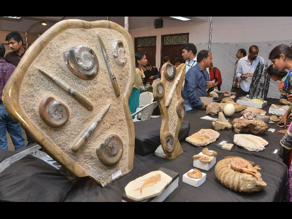 అరుదైన ఖనిజ, శిలాజాలు అరుదైన ఖనిజ, శిలాజాలు