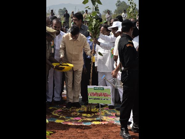 ఐదేళ్లలో హరితాంధ్ర సాధిద్దాం: చంద్రబాబు