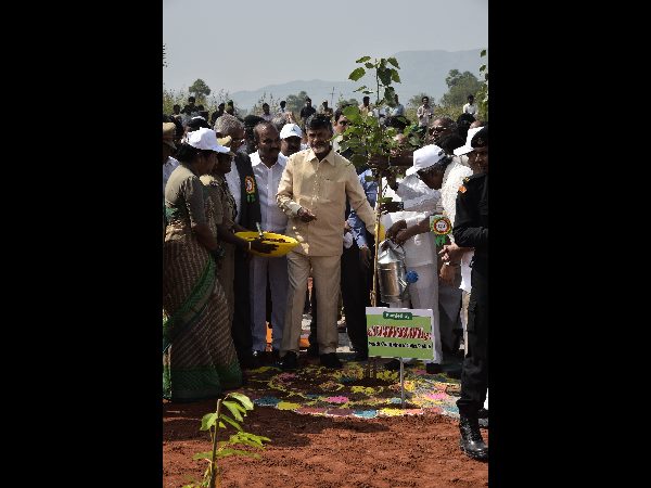 ఐదేళ్లలో హరితాంధ్ర సాధిద్దాం: చంద్రబాబు