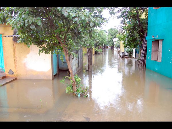 భారీ వర్షాలు