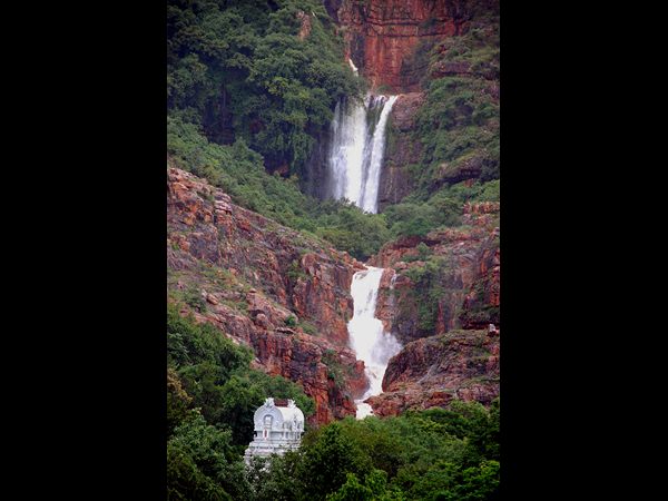 భారీ వర్షాలు