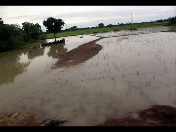  భారీ వర్షాలు