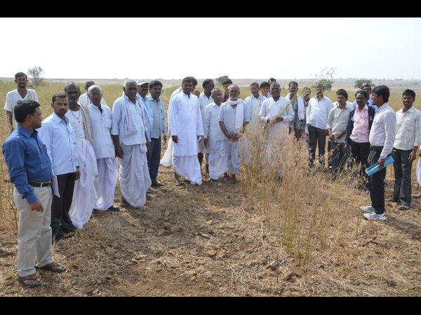 కేంద్ర బృందం కేంద్ర బృందం