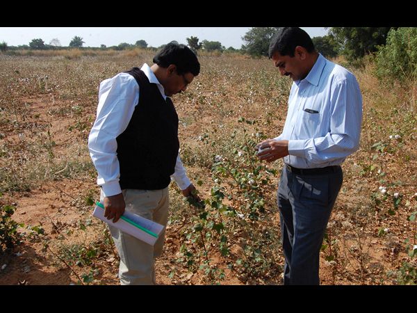 కేంద్ర బృందం కేంద్ర బృందం