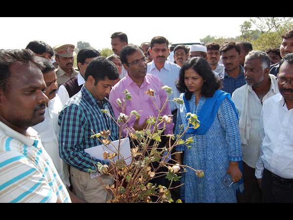 కేంద్ర బృందం కేంద్ర బృందం