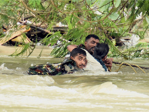 రంగంలోకి అధికారులు