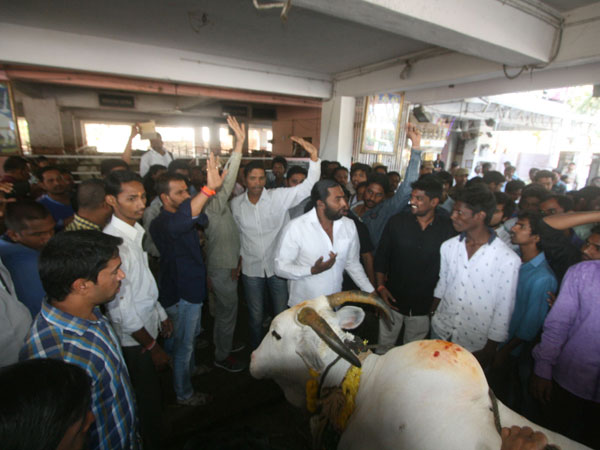 బీఫ్ ఫెస్టివెల్