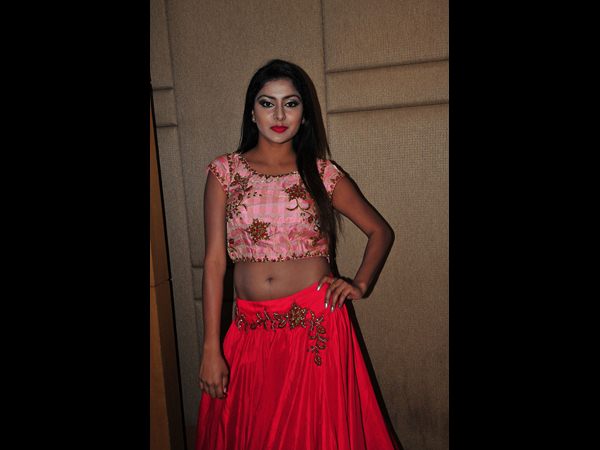 హై లైఫ్ ఎగ్జిబిషన్