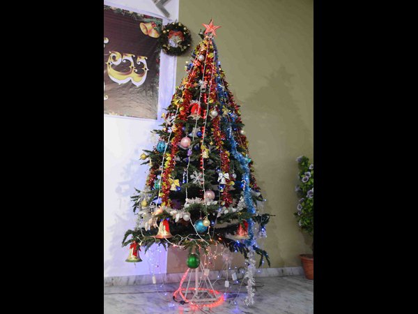 ఘనంగా క్రిస్మస్: విద్యుద్దీప కాంతుల్లో చర్చ్‌లు 