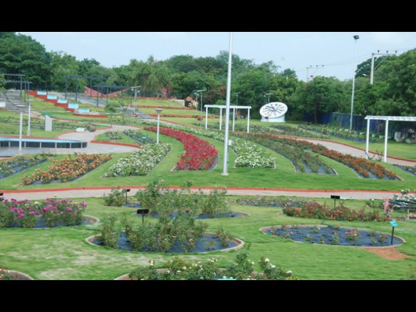  సంజీవయ్య పార్క్‌లో రోజ్ గార్డెన్