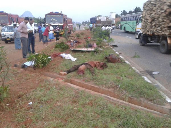  ఘోర రోడ్డు ప్రమాదం: 10మంది మృతి