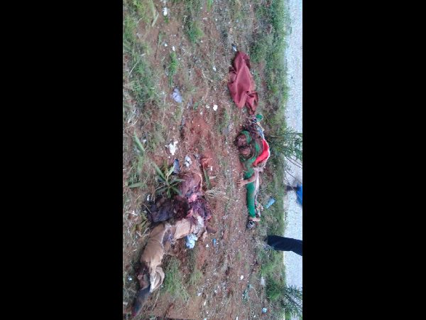 ఘోర రోడ్డు ప్రమాదం: 10మంది మృతి