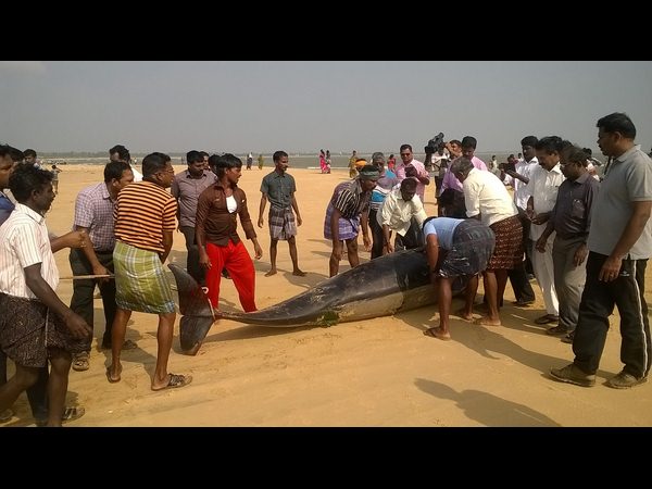 స్థానికుల రక్షించే ప్రయత్నాలు