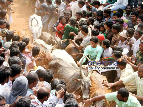 జనజీవనం స్తంభించింది