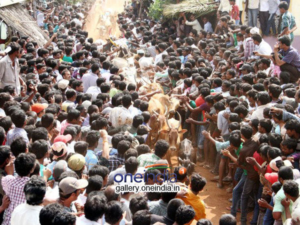 అన్ని పార్టీలు ఓకే అంటున్నాయి